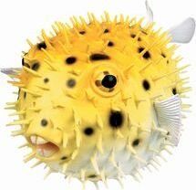 Club Earth Porcupine Fish Squirts