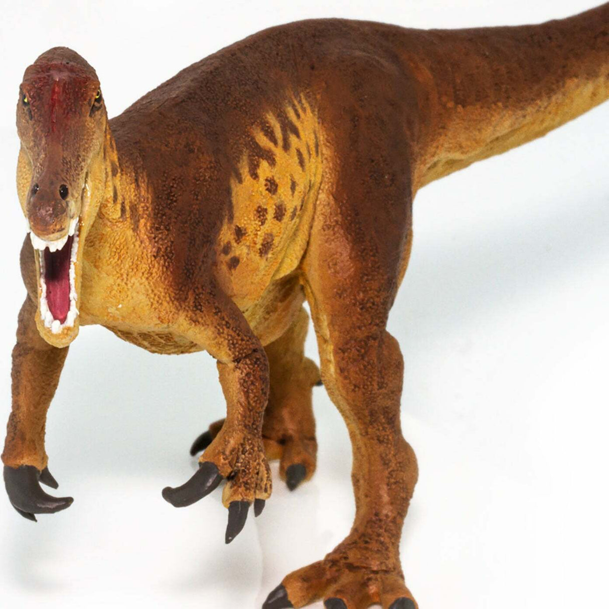 Baryonyx Toy
