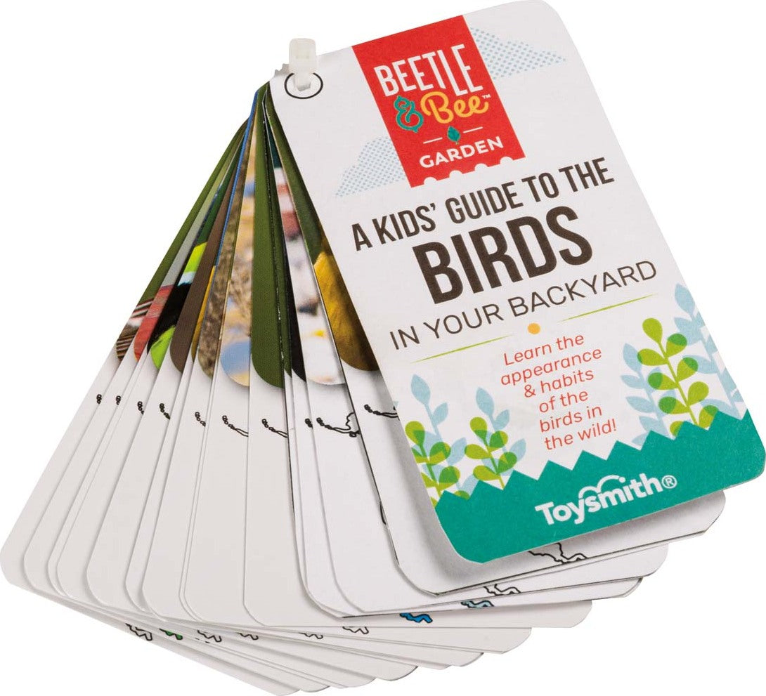 Beetle & Bee Little Birder Set