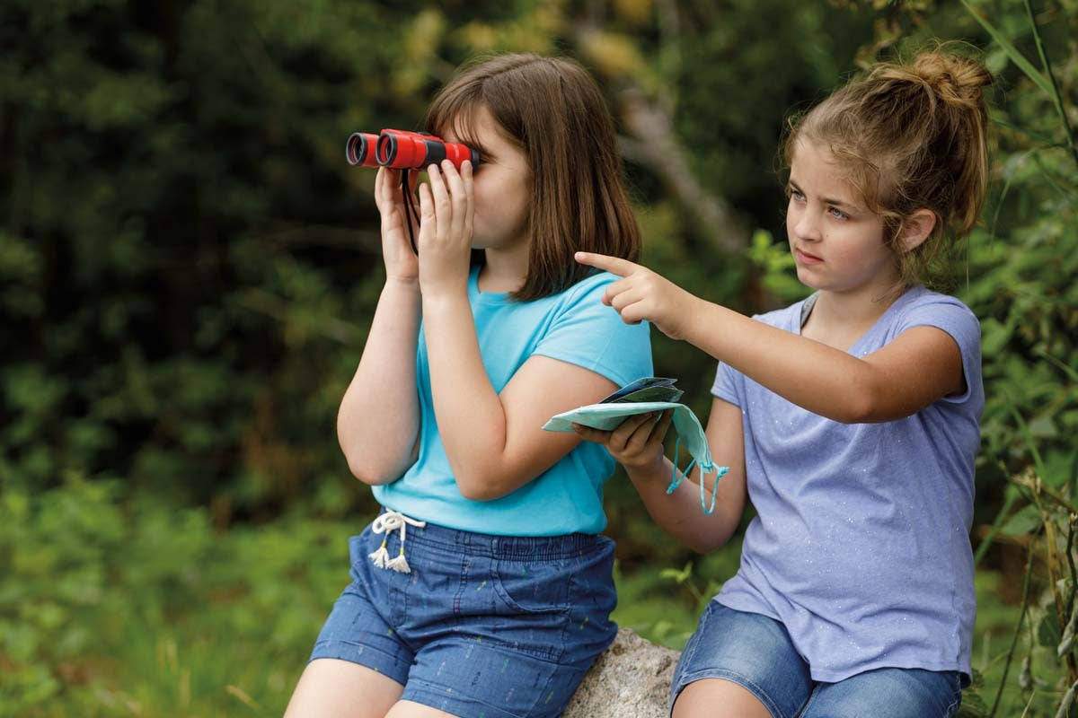 Beetle & Bee Little Birder Set