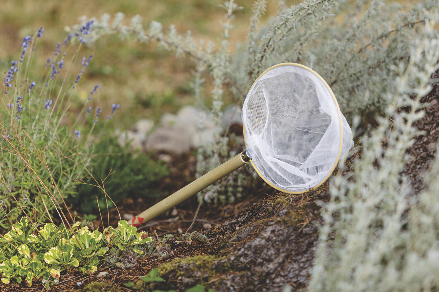 Beetle & Bee Butterfly Net FSC