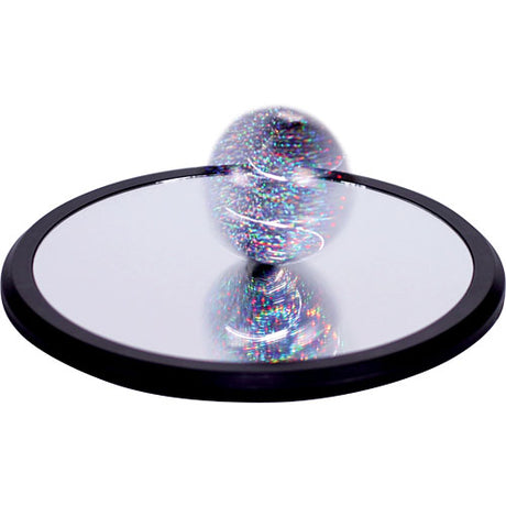 Euler's Disk