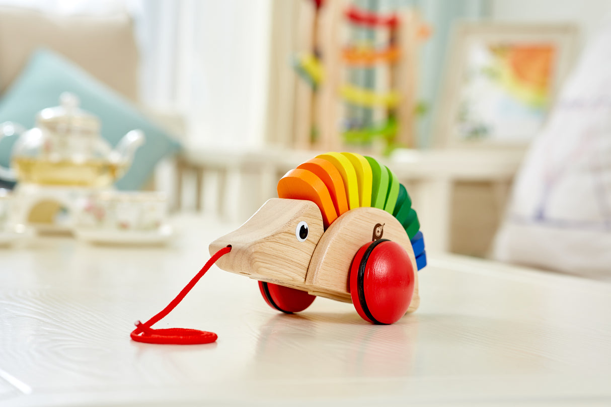 Pull - Along Porcupine