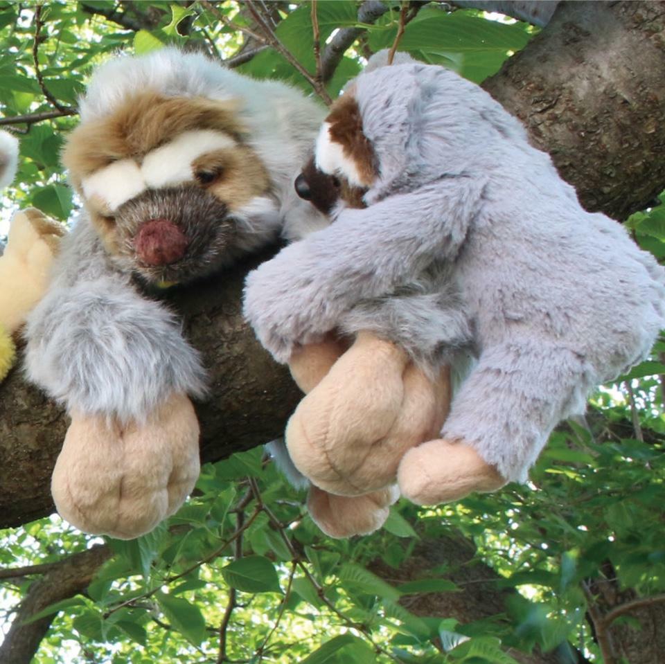 Baby Sloth Hanging Plush-1