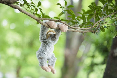 Baby Sloth Hanging Plush-1