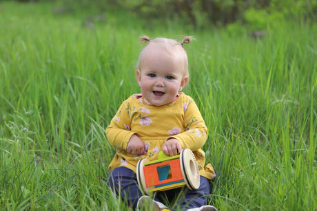 Rolling Shape Sorter