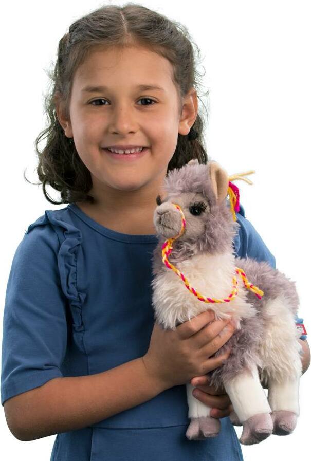 Zephyr Llama