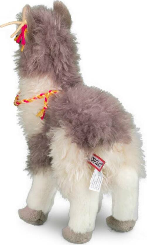 Zephyr Llama