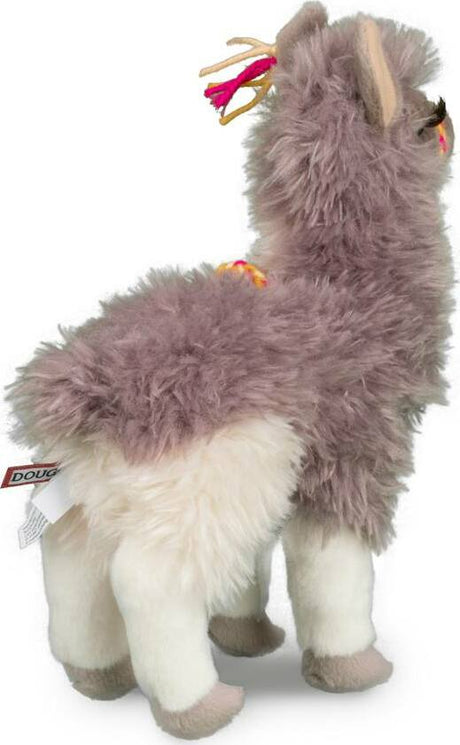 Zephyr Llama