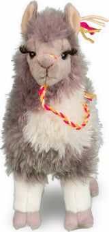 Zephyr Llama