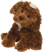 Bosco Chocolate Labradoodle