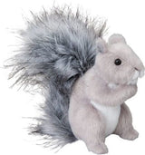 Shasta Gray Squirrel