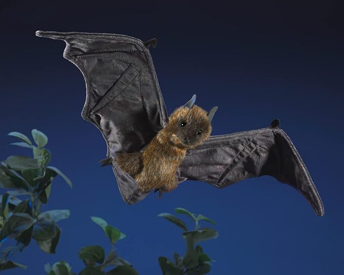 Fruit Bat