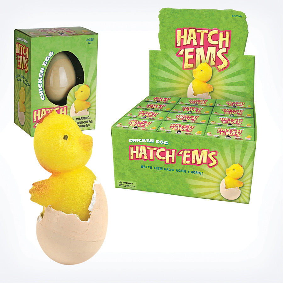 Hatch'ems Chicken Eggs