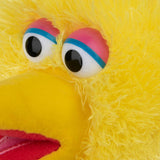 Sesame Street Big Bird, 14 In