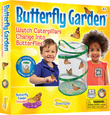 Butterfly Garden 