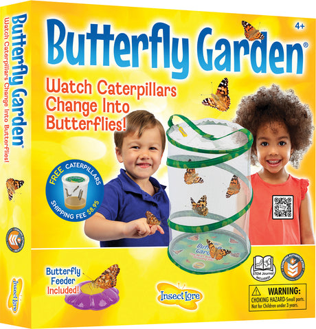 Butterfly Garden 