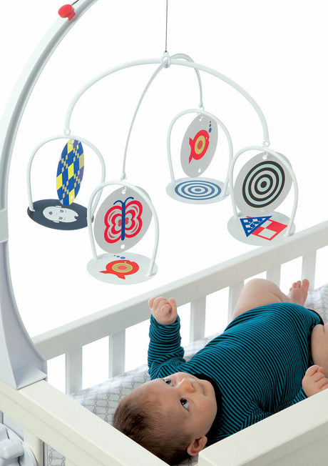 Wimmer-Ferguson Infant Stim-Mobile