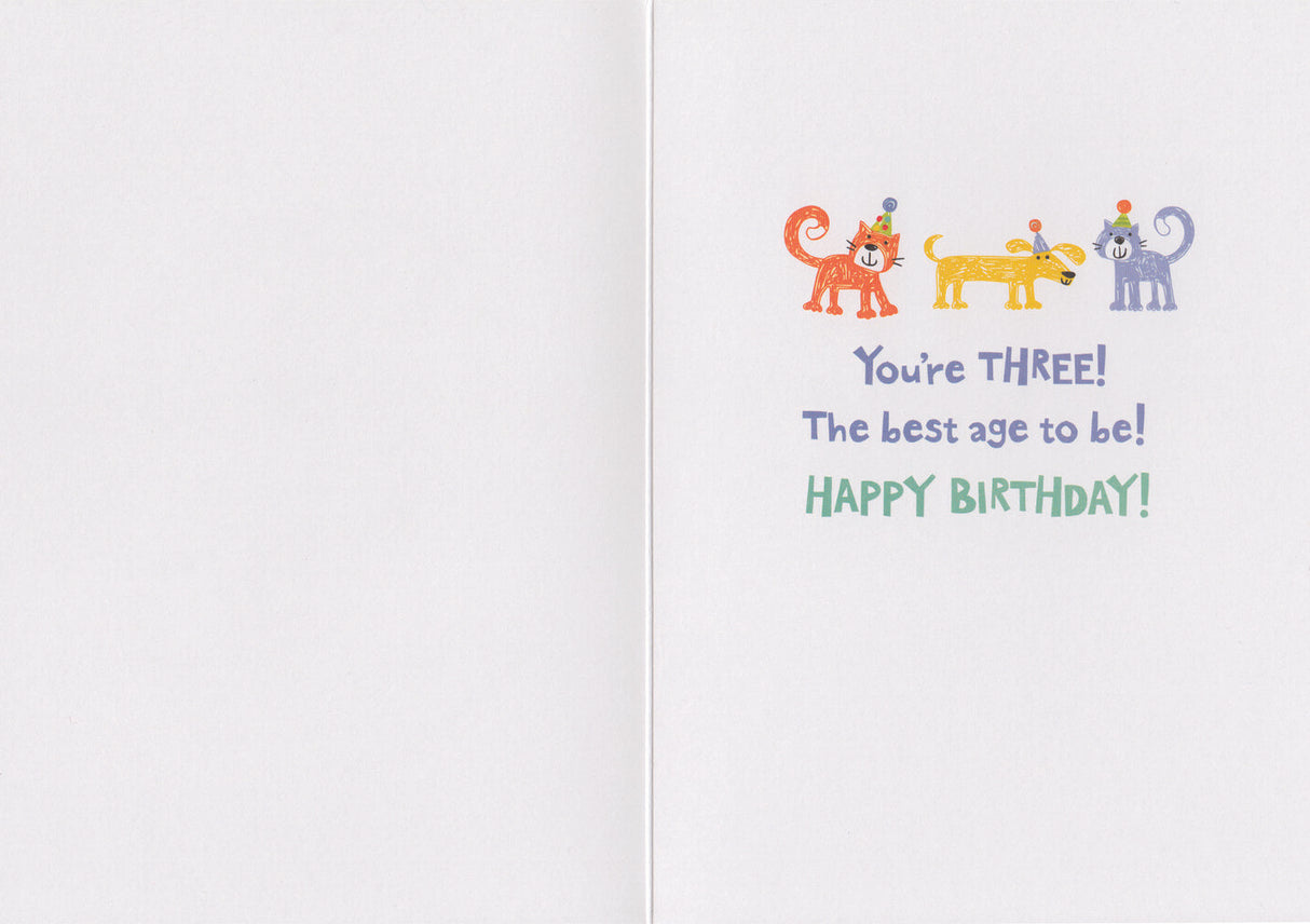 Age 3 Foil Birthday Card