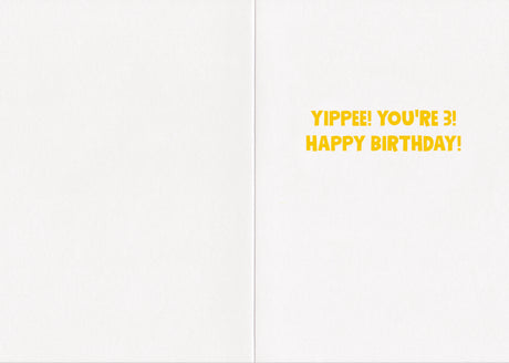 Birthday Card -Yippee You're 3