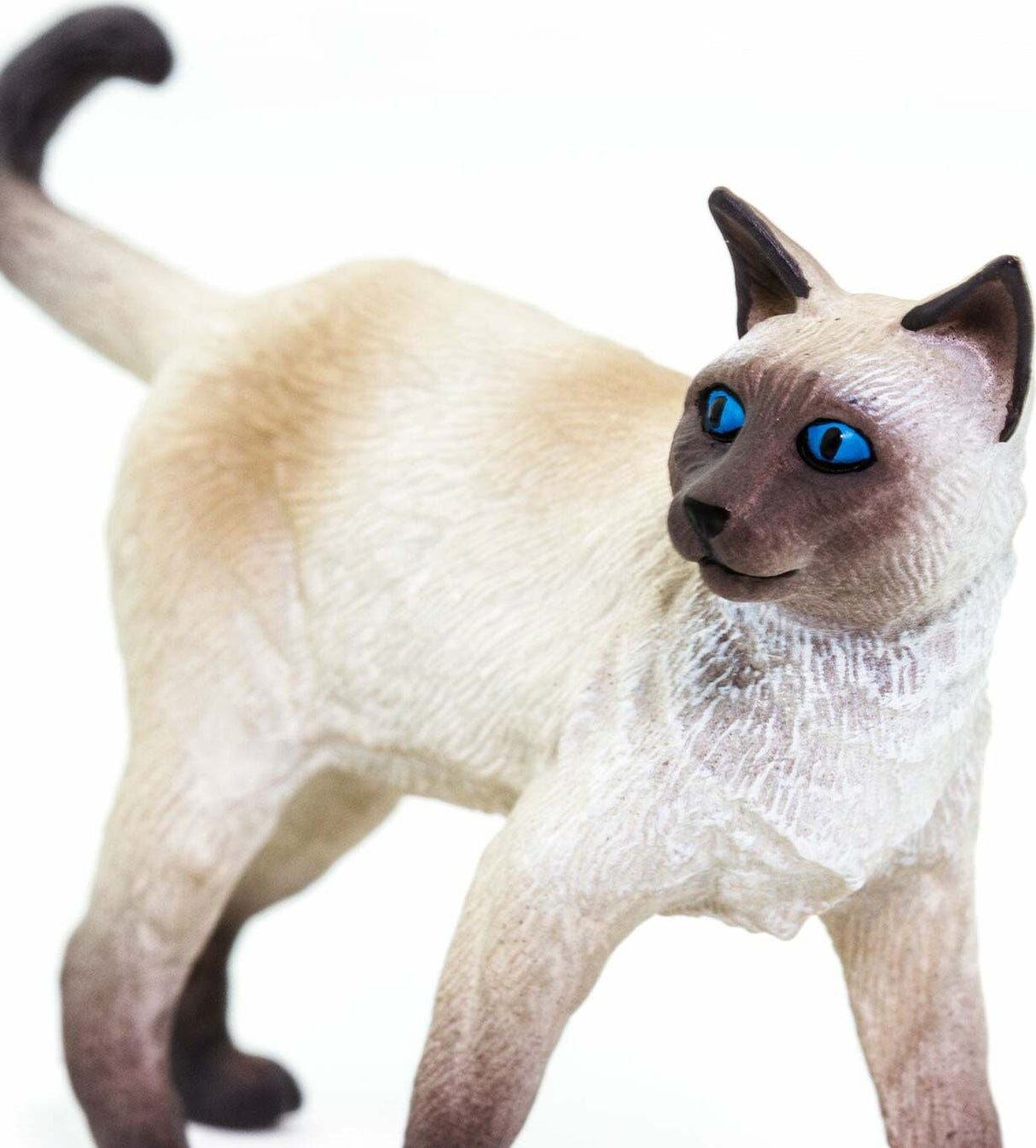 Siamese Toy