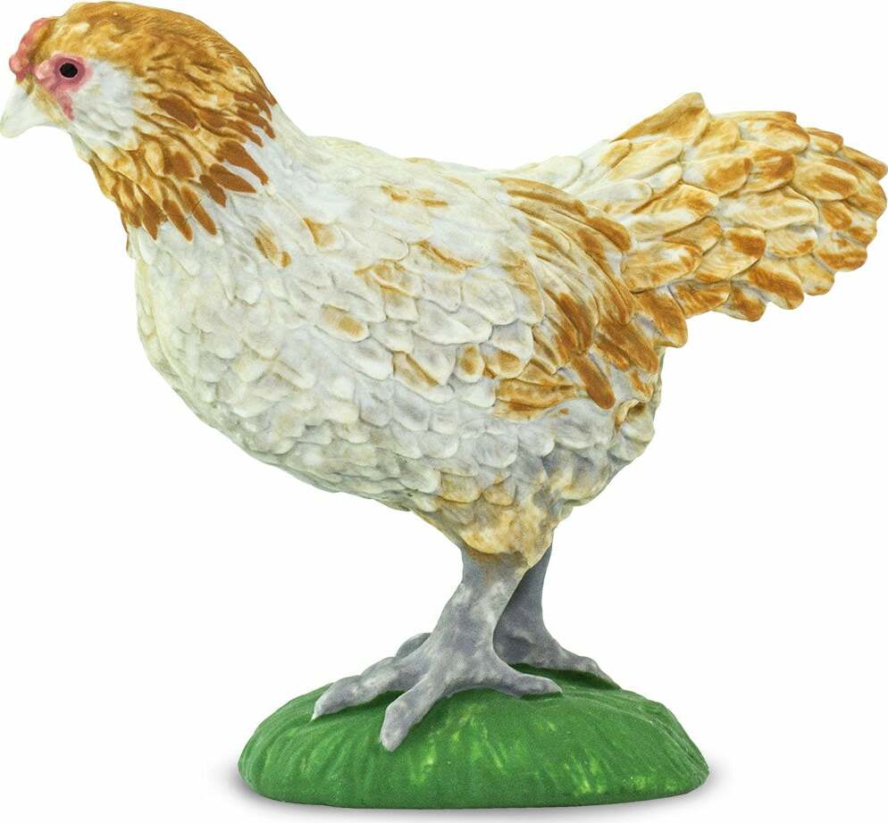 Ameraucana Chicken Toy