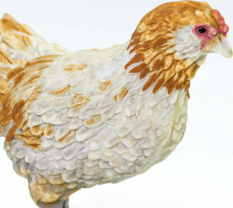 Ameraucana Chicken Toy