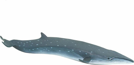 Sei Whale Toy