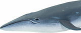 Sei Whale Toy