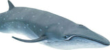 Sei Whale Toy