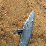 Sei Whale Toy