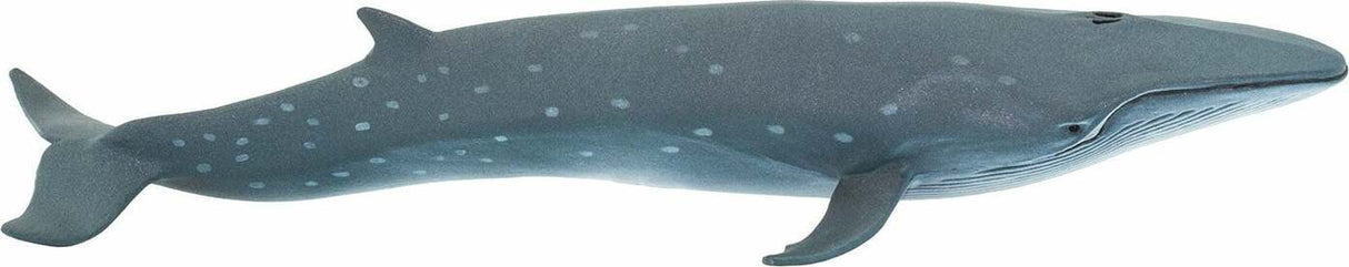 Sei Whale Toy