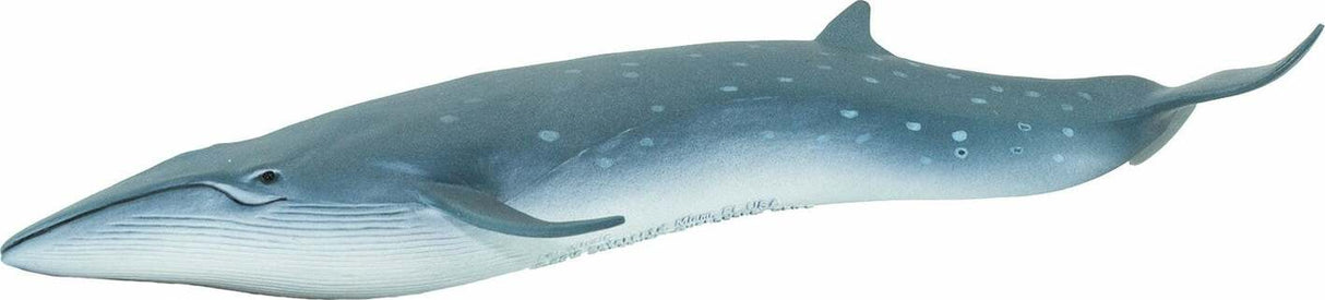 Sei Whale Toy