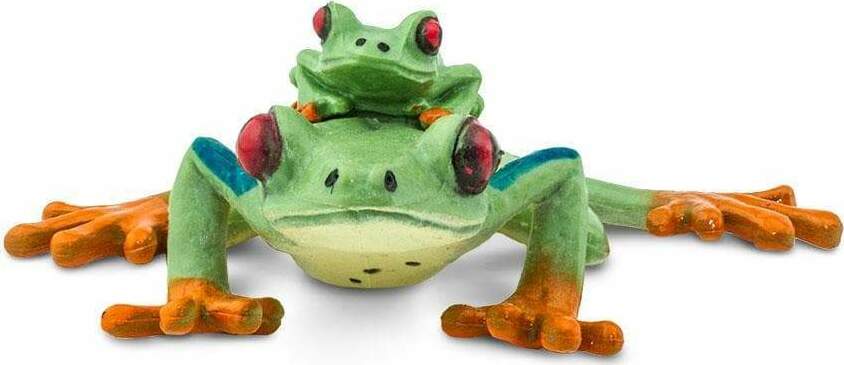 Red-eyed Tree Frog Toy