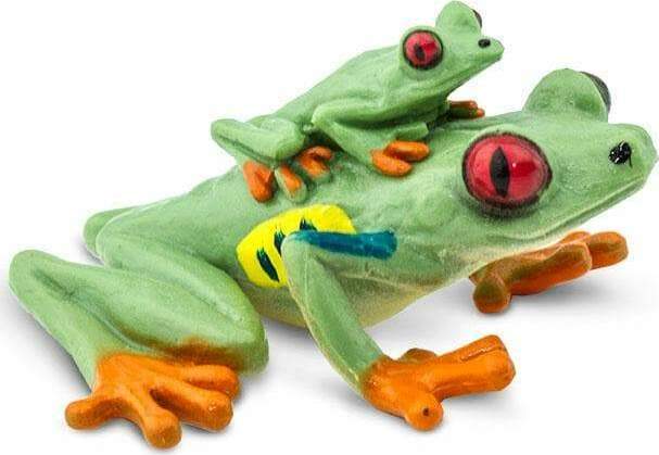 Red-eyed Tree Frog Toy