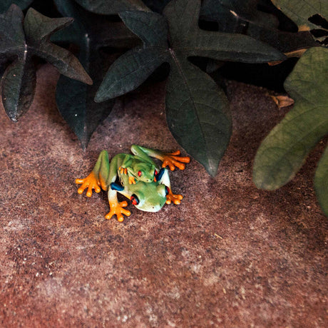 Red-eyed Tree Frog Toy