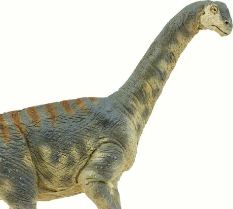 Camarasaurus Toy