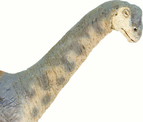 Camarasaurus Toy