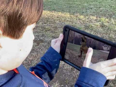Tyrannosaurus Rex with Augmented Reality