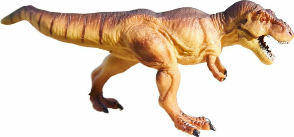 Tyrannosaurus Rex with Augmented Reality