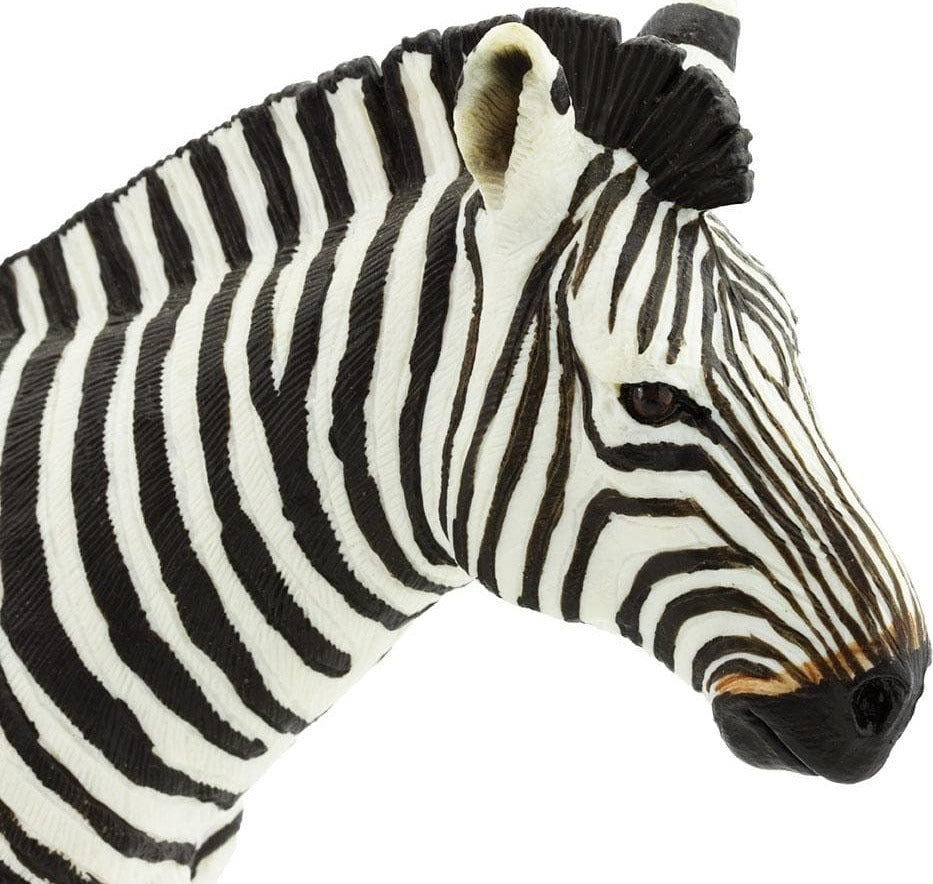 Zebra Toy