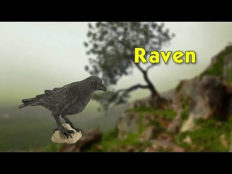 Raven Toy