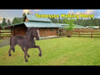 Tennessee Walking Horse Toy