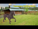 Tennessee Walking Horse Toy