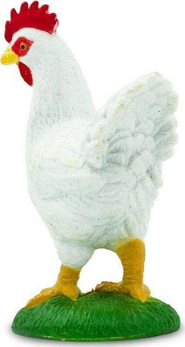 Chicken Toy