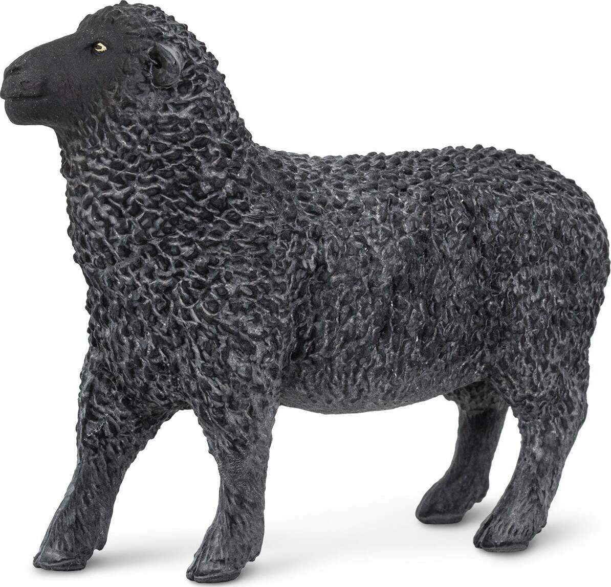 Black Sheep Toy