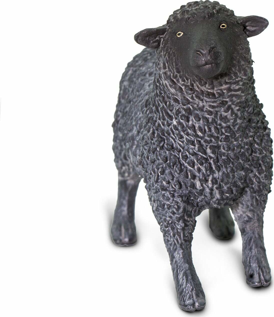 Black Sheep Toy