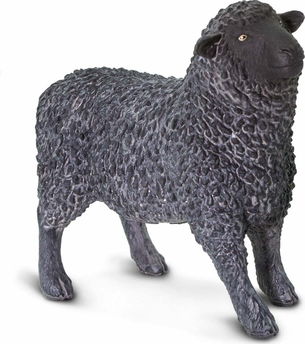 Black Sheep Toy