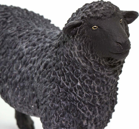 Black Sheep Toy