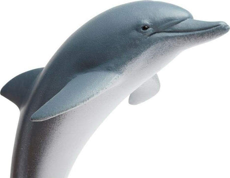 Dolphin Toy